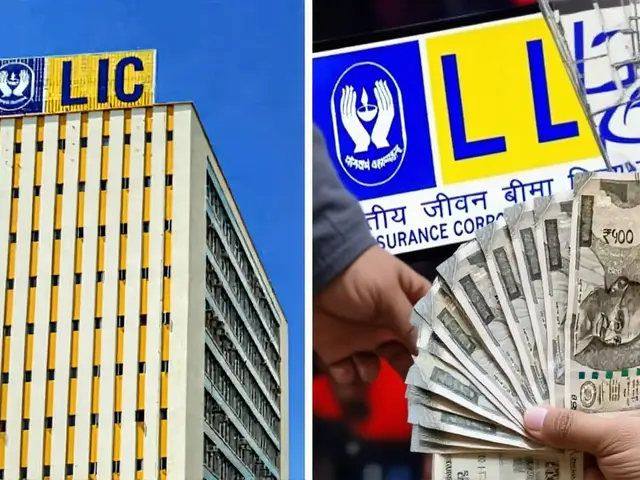 IT सेक्टर में 18 साल की सबसे बड़ी गिरावट: LIC और MF को ₹1.2 लाख करोड़ का नुकसान